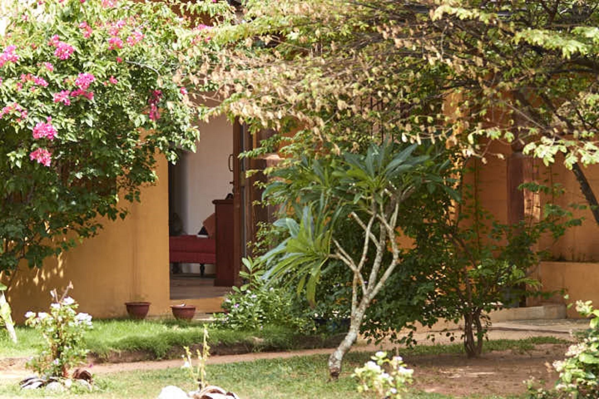 Villa Sunbird Negombo Exterior foto